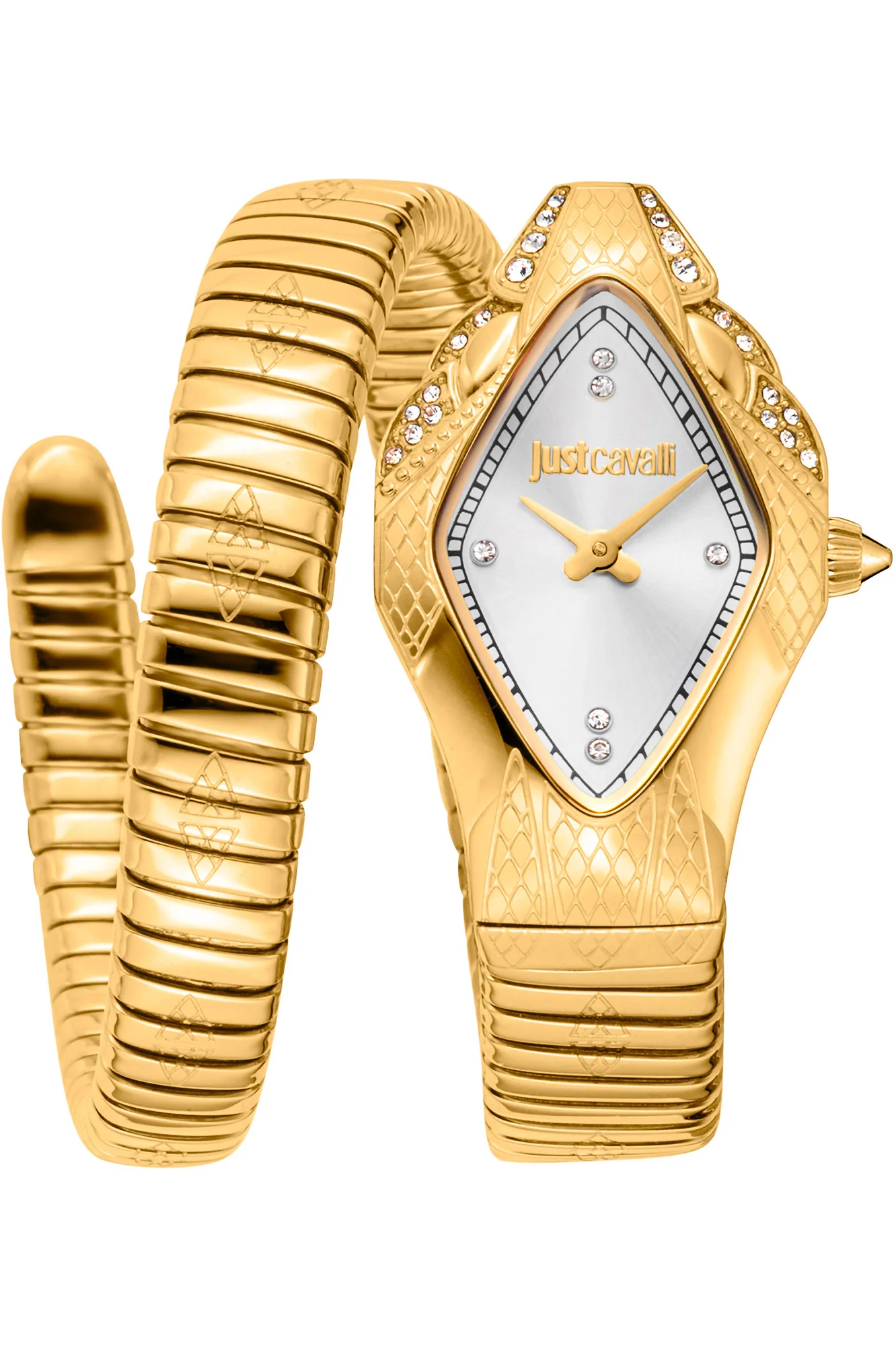 Just Cavalli 22mm / Gold / Silver Silver Dial
