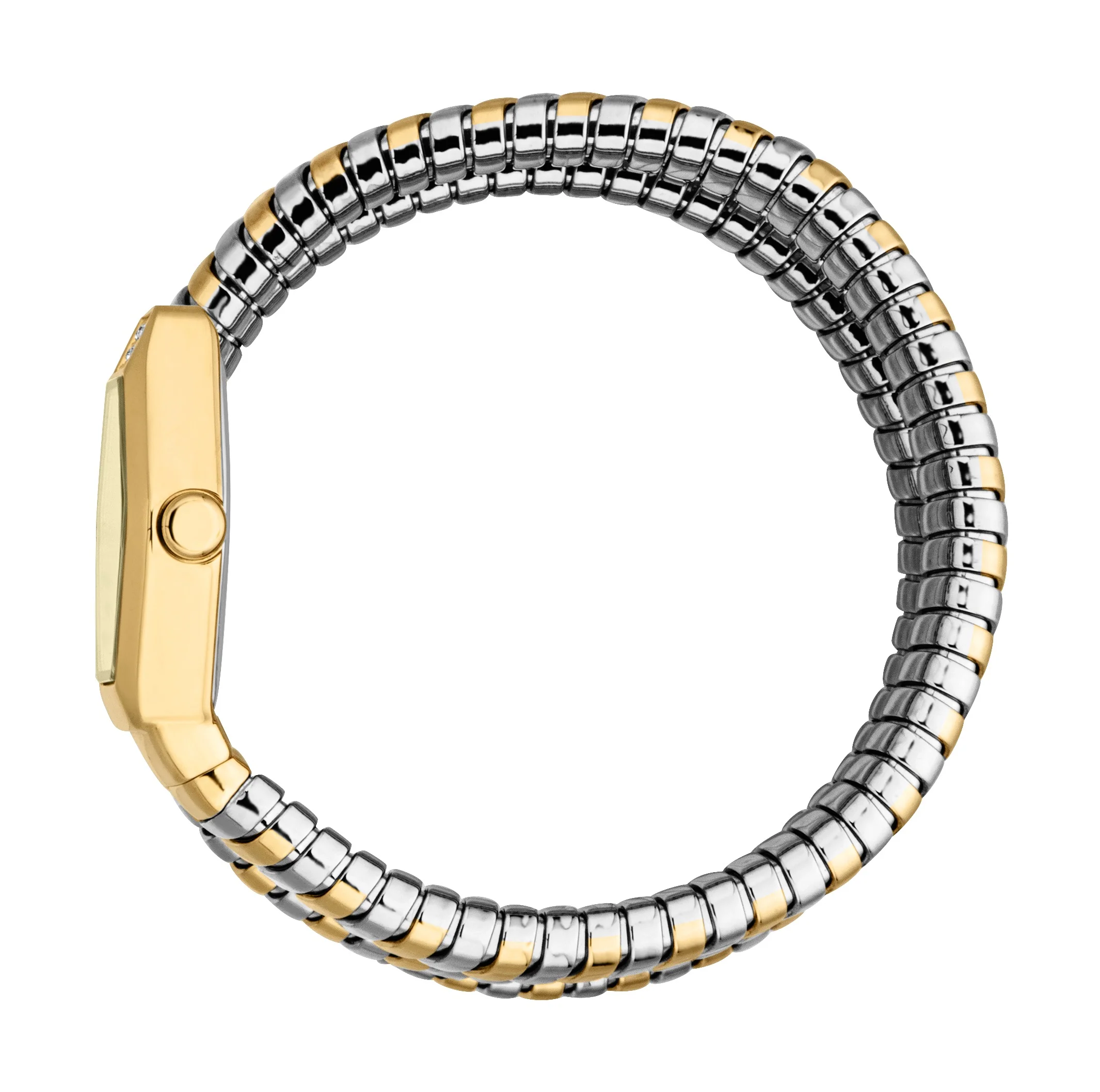 Snake 22.5mm / Champagne / Silver and Gold Champagne Dial - Image 2